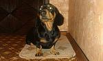     
: IMAG0250 (1).jpg
: 20
:	164.5 
ID:	6997667