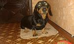     
: IMAG0248 (1).jpg
: 15
:	171.3 
ID:	6997668