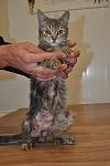     
: DSC_0580.jpg
: 13
:	64.7 
ID:	6998380