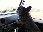     
: IMG_0353.jpg
: 4
:	122.0 
ID:	7001306