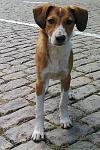     
: Фото0708.jpg
: 7
:	161.7 
ID:	7001495