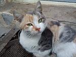     
: DSC00128.jpg
: 13
:	151.0 
ID:	7008117