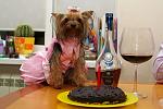     
: D_3363.jpg
: 45
:	235.4 
ID:	7008950