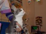     
: DSCN0891.jpg
: 3
:	86.0 
ID:	7010187