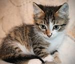     
: byY0zbVa3zY.jpg
: 6
:	177.4 
ID:	7010911