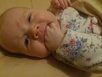     
: DSC_1479.jpg
: 36
:	98.1 
ID:	7011204