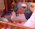     
: IMG_20131003_111420-1.jpg
: 24
:	125.3 
ID:	7011248