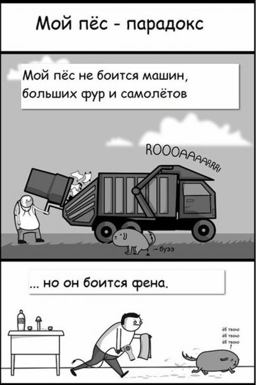     
: 498167249.jpg
: 8
:	48.1 
ID:	7011540
