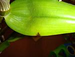     
: DSC06915.jpg
: 5
:	88.1 
ID:	7012609