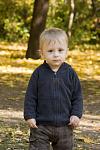     
: IMG_2704.jpg
: 11
:	80.2 
ID:	7017451