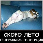     
: s3img_12398122_7437_0.jpg
: 73
:	28.0 
ID:	701749