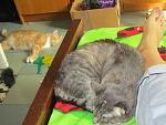     
: IMG_5090.jpg
: 6
:	127.7 
ID:	7019580