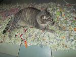     
: IMG_5079.jpg
: 12
:	154.1 
ID:	7019581