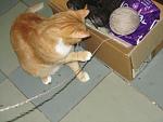     
: IMG_5081.jpg
: 5
:	118.9 
ID:	7019582