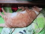     
: IMG_5086.jpg
: 5
:	140.8 
ID:	7019585