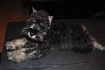     
: DSC_0327.jpg
: 9
:	100.6 
ID:	7020609
