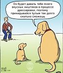     
: qhTypcFmB0M.jpg
: 5
:	61.1 
ID:	7020686