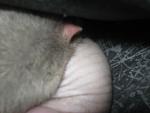     
: IMG_9180.jpg
: 10
:	21.9 
ID:	7022432
