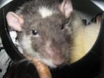     
: IMG_9187.jpg
: 9
:	26.9 
ID:	7022510