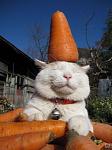     
: 1260984058_1260944318_acid_picdump_108_37.jpg
: 43
:	28.3 
ID:	702283