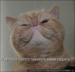     
: 1230990044_16_ml.jpg
: 52
:	33.9 
ID:	702288