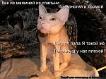     
: 1230990125_14_ml.jpg
: 51
:	39.1 
ID:	702289
