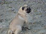     
: DSC05497.jpg
: 5
:	198.1 
ID:	7022902