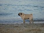     
: DSC05495.jpg
: 7
:	97.0 
ID:	7022904
