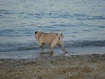     
: DSC05496.jpg
: 9
:	114.3 
ID:	7022907
