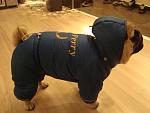     
: DSC05743.jpg
: 7
:	104.3 
ID:	7022939