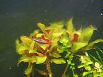     
: DSCN2121.jpg
: 23
:	108.2 
ID:	7026397