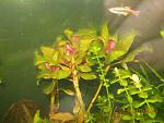     
: DSCN2118.jpg
: 26
:	117.3 
ID:	7026406