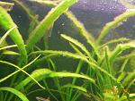     
: DSCN2122.jpg
: 20
:	132.7 
ID:	7026411