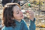     
: DSC_0067.jpg
: 18
:	187.8 
ID:	7027091