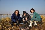     
: DSC_0028.jpg
: 17
:	142.7 
ID:	7027094