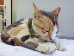     
: 5kSlmYYpnic.jpg
: 11
:	183.0 
ID:	7031407