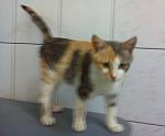     
: Ij7xIdek_e0.jpg
: 8
:	65.3 
ID:	7031408