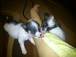     
: DSC_0517.jpg
: 6
:	107.1 
ID:	7031776
