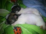    
: DSC_0521.jpg
: 11
:	87.8 
ID:	7031778