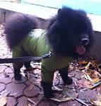     
: IMG_1463.jpg
: 6
:	127.7 
ID:	7034840
