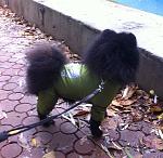     
: IMG_1461.jpg
: 5
:	144.2 
ID:	7034841