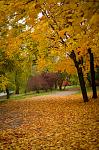     
: DSC_9097.jpg
: 38
:	253.0 
ID:	7039896