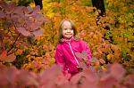     
: DSC_9055.jpg
: 36
:	131.9 
ID:	7039897