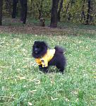     
: IMG_1473.jpg
: 7
:	190.8 
ID:	7041261