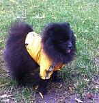     
: IMG_1471.jpg
: 7
:	210.4 
ID:	7041262