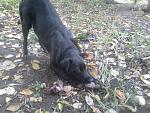     
: DSC_0117.jpg
: 6
:	199.5 
ID:	7046261
