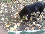     
: DSC_0114.jpg
: 6
:	174.7 
ID:	7046262