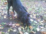     
: DSC_0118.jpg
: 5
:	164.6 
ID:	7046264