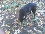     
: DSC_0115.jpg
: 6
:	186.6 
ID:	7046265