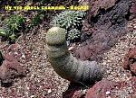     
: 29876a5f59b045f99c6daf40938faf10.jpg
: 19
:	71.8 
ID:	704633